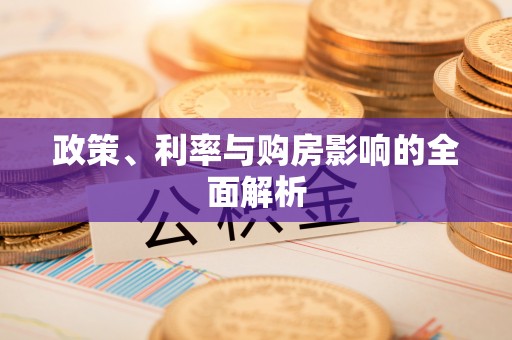 于洪政策、利率与购房影响的全面解析