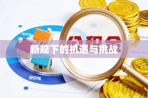 于洪新规下的机遇与挑战