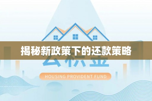 于洪揭秘新政策下的还款策略