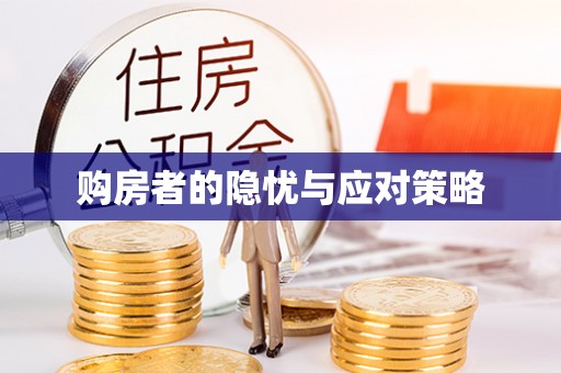 于洪购房者的隐忧与应对策略