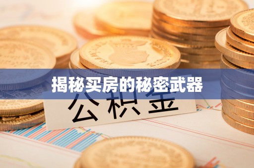 于洪揭秘买房的秘密武器