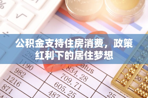 于洪公积金支持住房消费，政策红利下的居住梦想