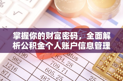 于洪掌握你的财富密码，全面解析公积金个人账户信息管理