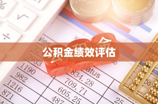 于洪公积金绩效评估