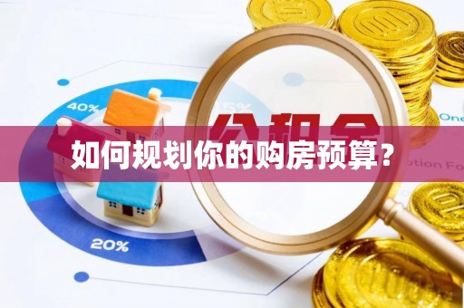 于洪如何规划你的购房预算？