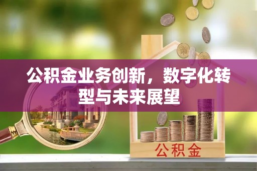 于洪公积金业务创新，数字化转型与未来展望