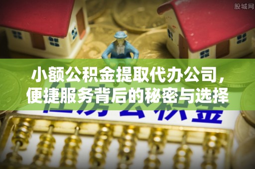 于洪小额公积金提取代办公司，便捷服务背后的秘密与选择指南
