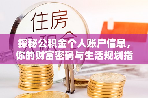 于洪探秘公积金个人账户信息，你的财富密码与生活规划指南