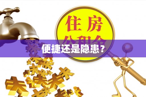 于洪便捷还是隐患？