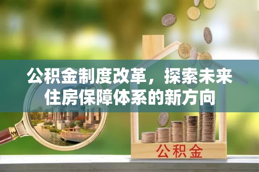 于洪公积金制度改革，探索未来住房保障体系的新方向