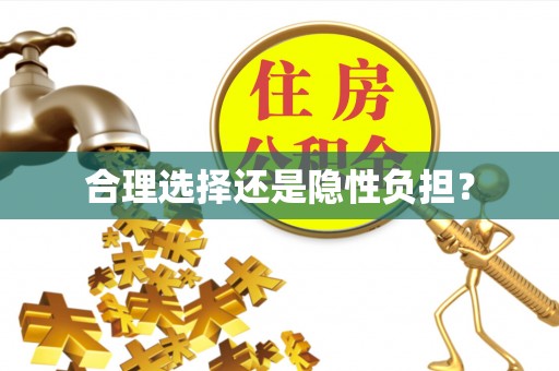 于洪合理选择还是隐性负担？