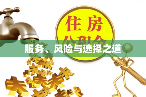 于洪服务、风险与选择之道
