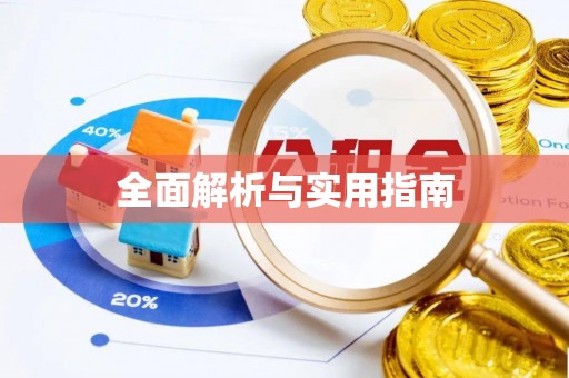 于洪全面解析与实用指南